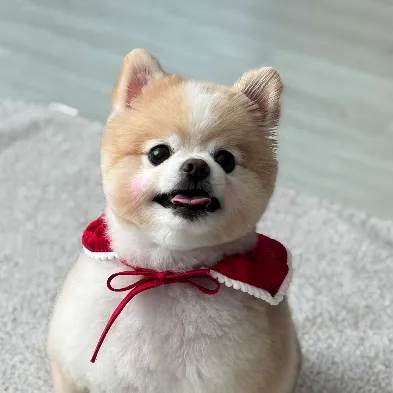 User profile Image