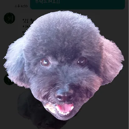 User profile Image