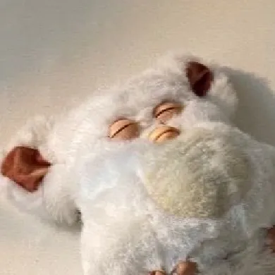 User profile Image