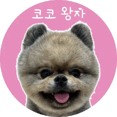 User profile Image