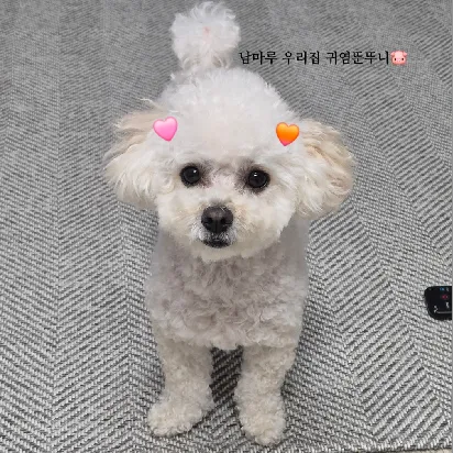 User profile Image