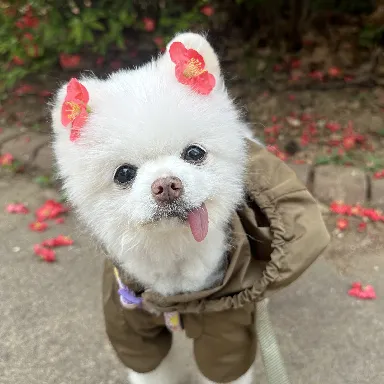 User profile Image