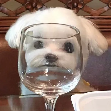 User profile Image