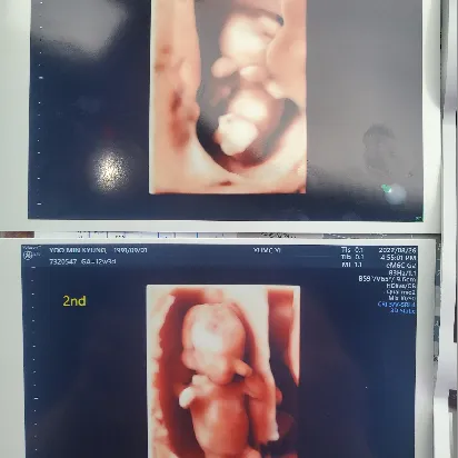 User profile Image