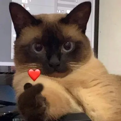 User profile Image