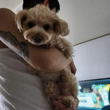 User profile Image