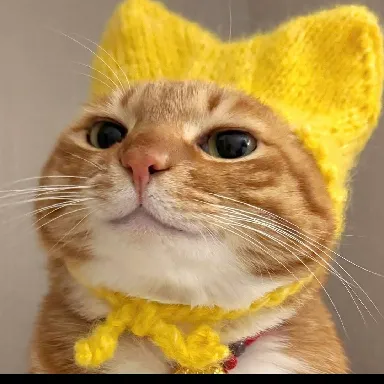 User profile Image