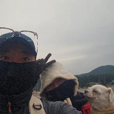 User profile Image
