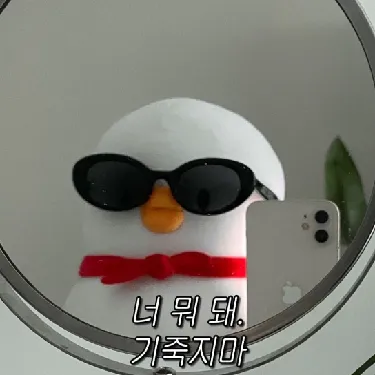 User profile Image