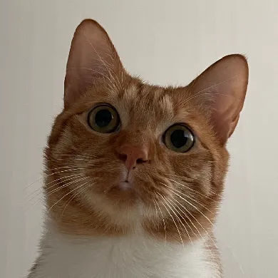 User profile Image