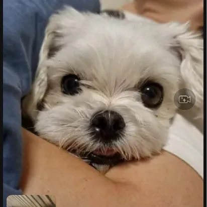 User profile Image