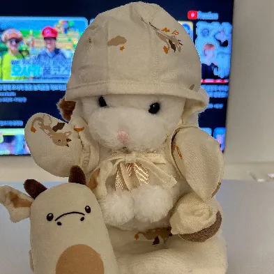 User profile Image